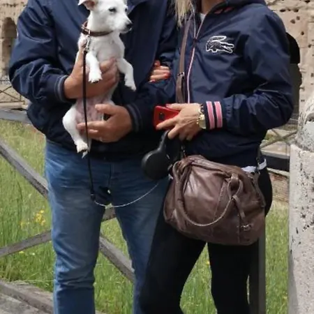 Appartamento Sárffy