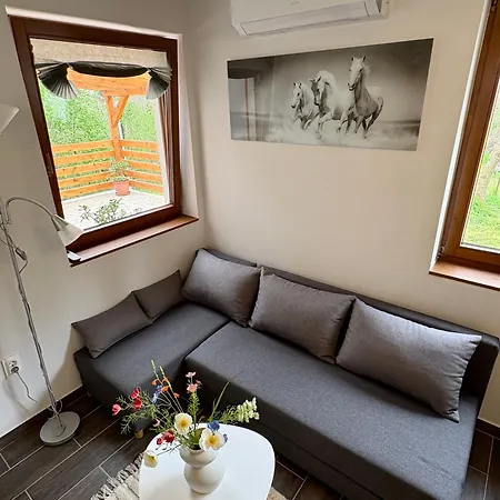 Apartment Sarffy Vendeghaz