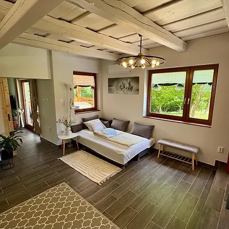 Apartment Sarffy Vendeghaz *