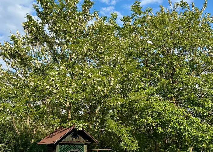 Apartamento Sárffy